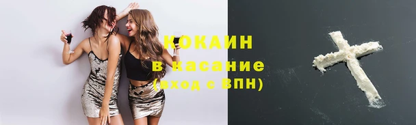 альфа пвп Бородино